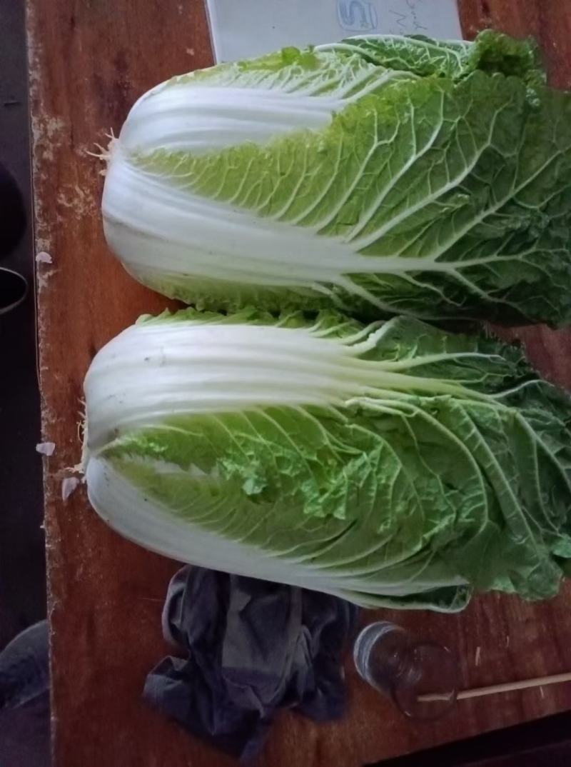 精品大白菜，货源充足，价格实惠，欢迎客商进店选购！