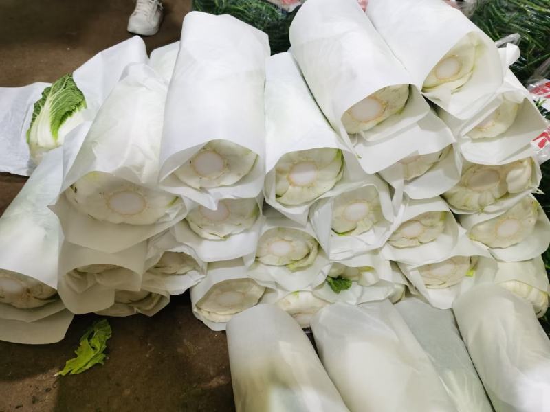 精品大白菜，货源充足，价格实惠，欢迎客商进店选购！