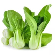 杜绝假货青梗菜种子油菜籽阳台盆栽蔬菜种子菜籽大田用种包邮