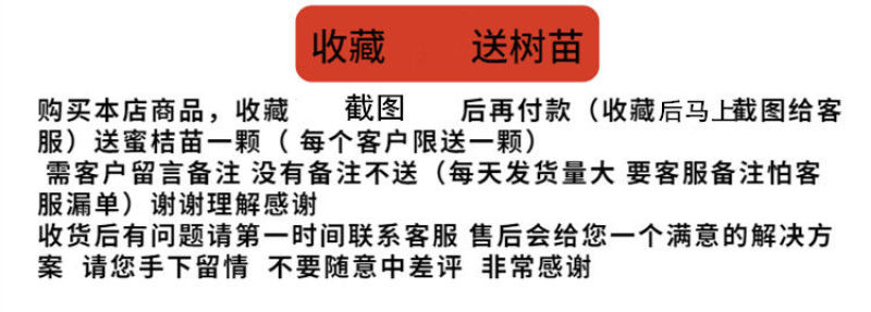 基地直发药用嫁接枳壳苗现挖现发保湿发货保证品种品质