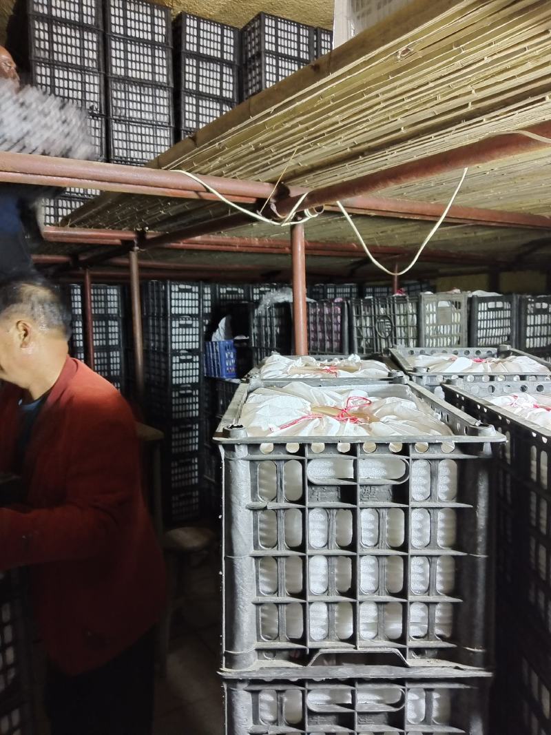 利百家合作社