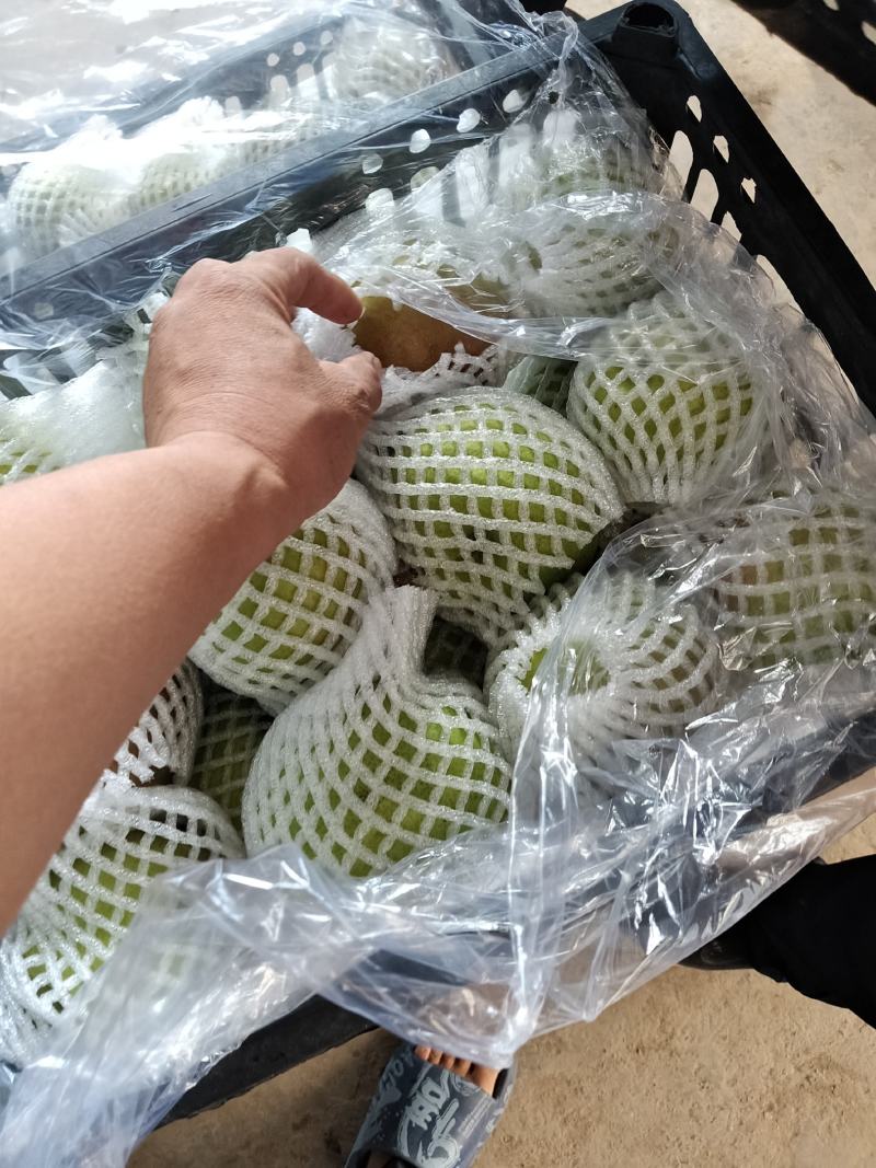 利百家合作社