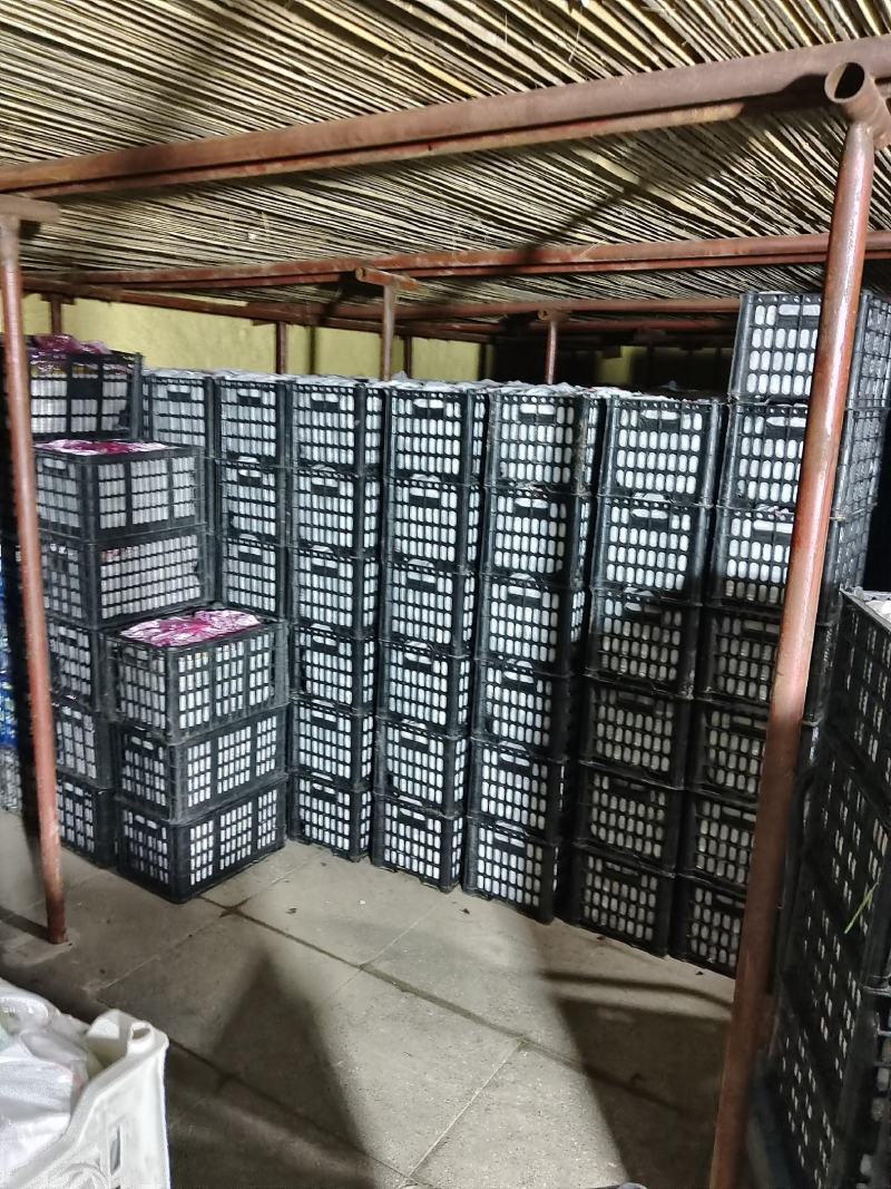 利百家合作社