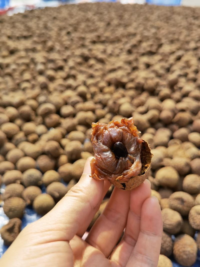 糯米糍荔枝干核小肉厚东莞产地礼盒包装送礼佳品