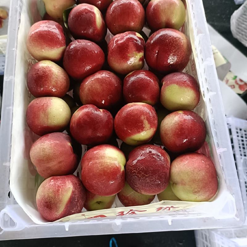 珍珠油桃出库了，