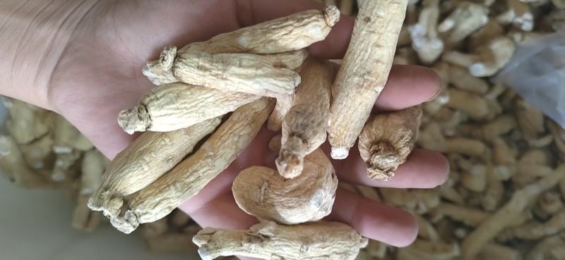 皂刺，皂角刺，手工剪的，不扎手，一手货源，有大货