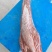 牛柳牛里脊纯干肉鲜美，可红烧卤炖，口感好！！！！！！！！
