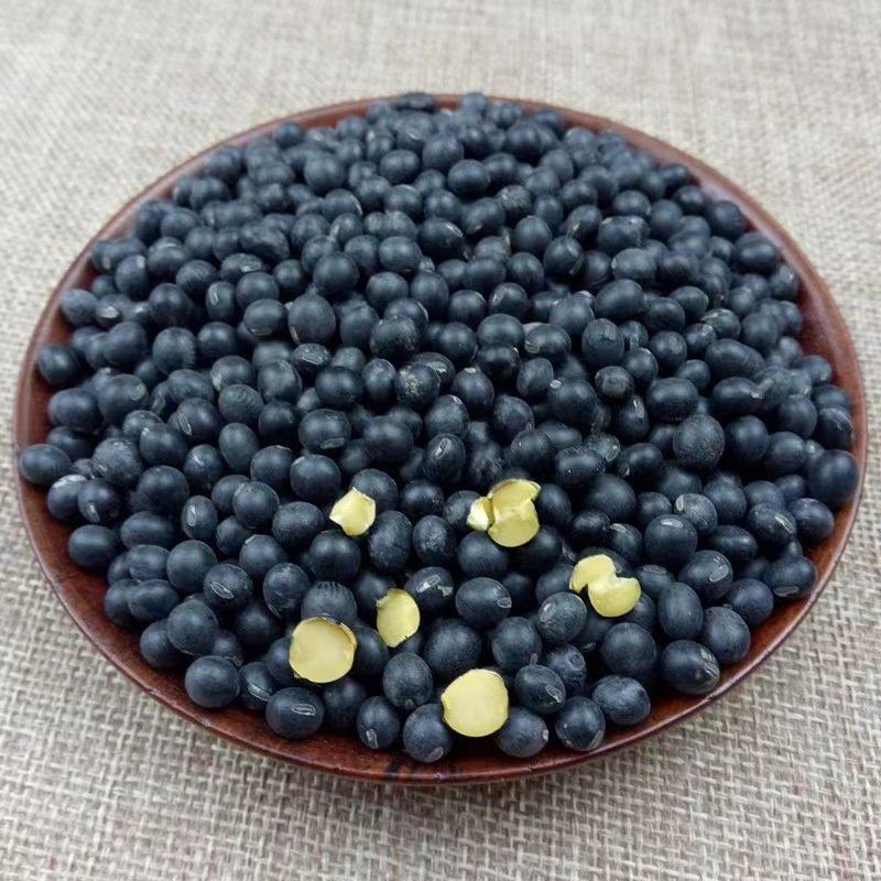 黑豆现货供应黄仁青仁绿芯黑豆（大中小）黑豆