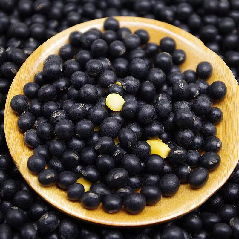 黑豆现货供应黄仁青仁绿芯黑豆（大中小）黑豆