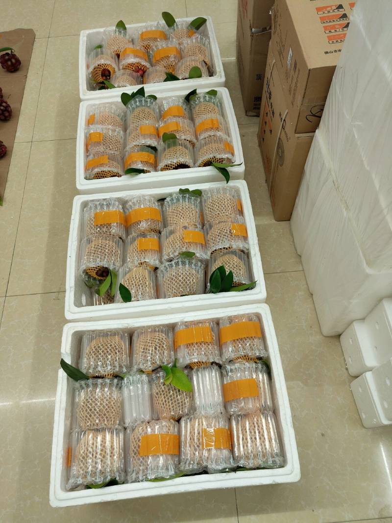 黑老虎（布福娜）鲜果通道黑老虎，原产地一手货源，量大从优