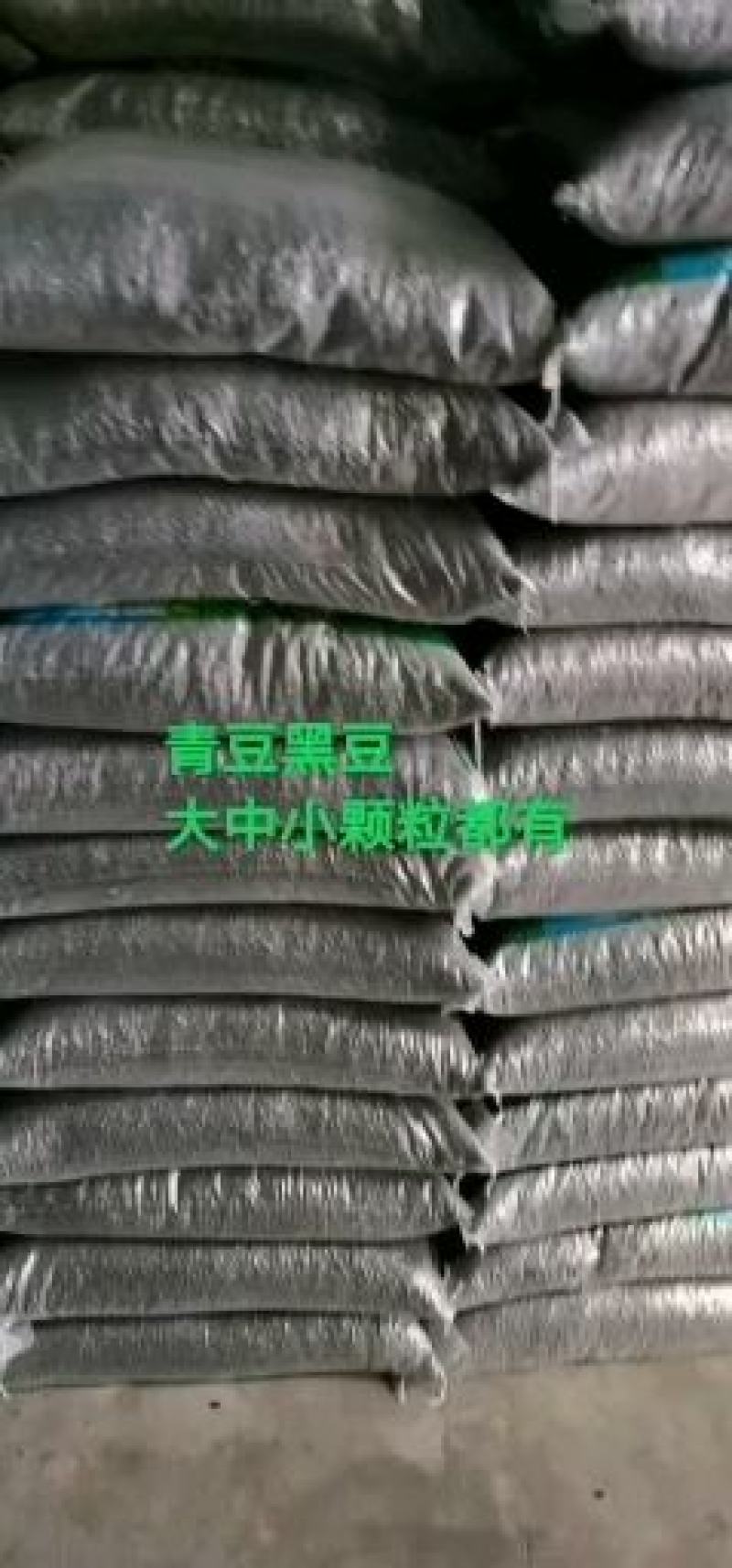 黑豆现货供应黄仁青仁绿芯黑豆（大中小）黑豆