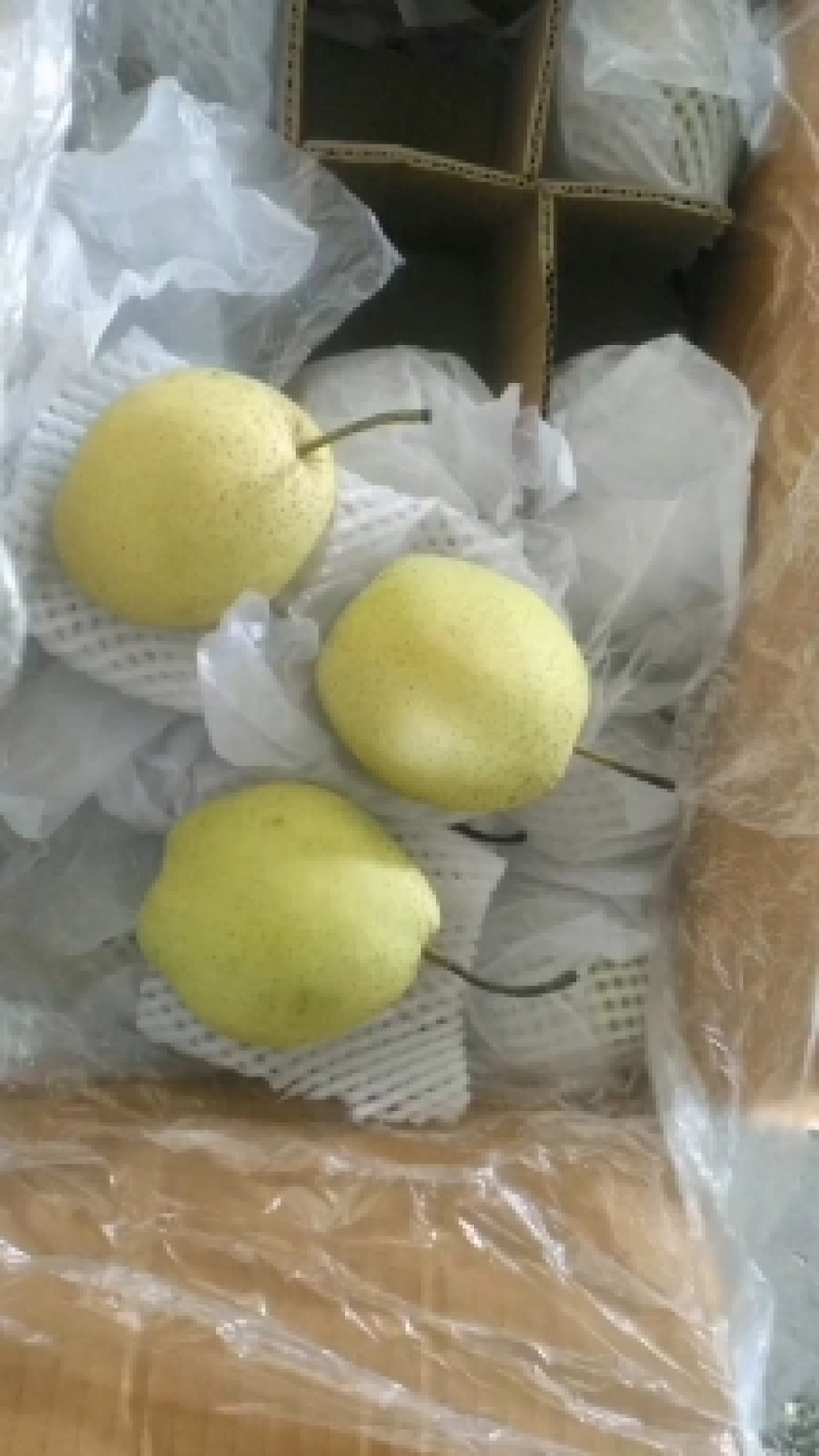 赵县雪花梨之乡，全国发货