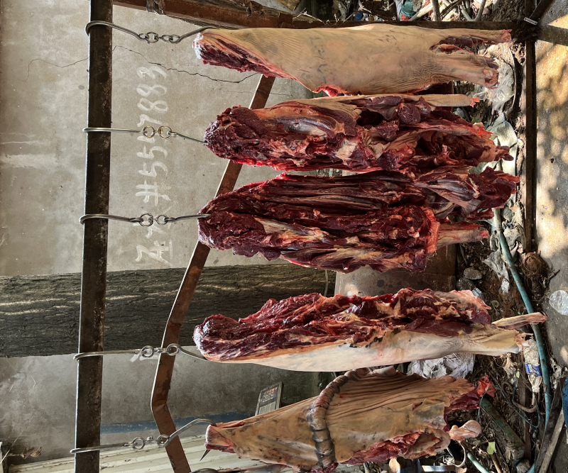 新鲜带皮驴肉现场宰杀