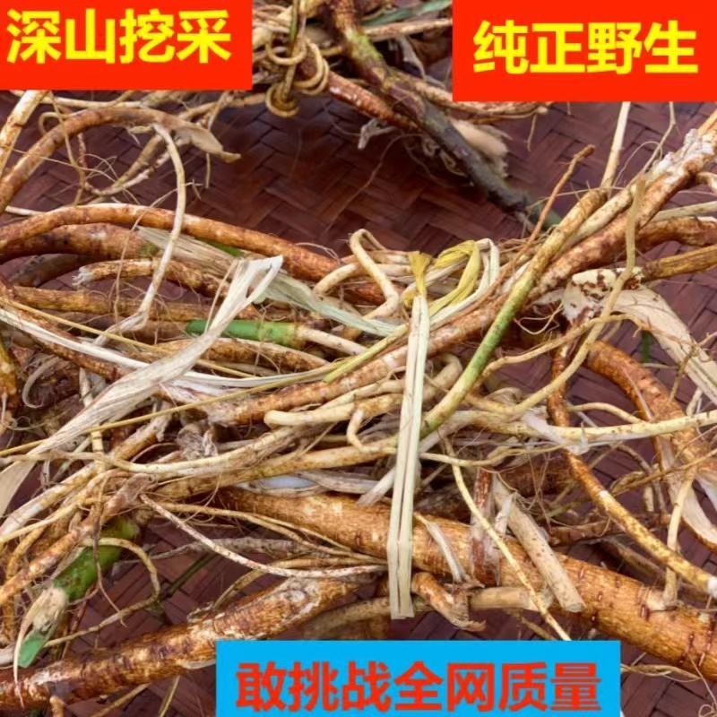 原产地直供，野生五指毛桃，品质保证！