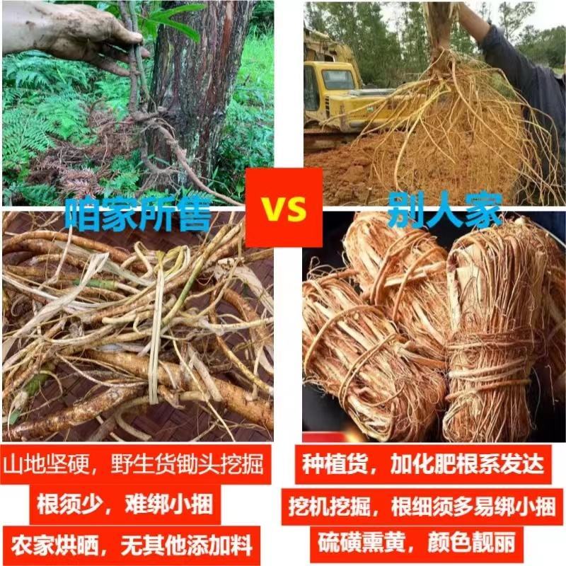 原产地直供，野生五指毛桃，品质保证！