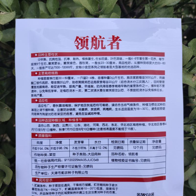 优选全能小金豆种子抗寒耐热芸豆四季豆种子春秋菜豆种子