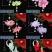 结婚新娘婚秀汉服饰品中国古风花朵耳坏925锒耳钩耳坠