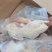 二级白条鸭全规格有货