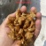 干白辣椒