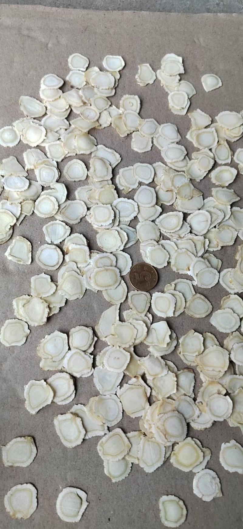 批发低残西洋参软片，硬片，粒头，参须，规格齐全，自家加工
