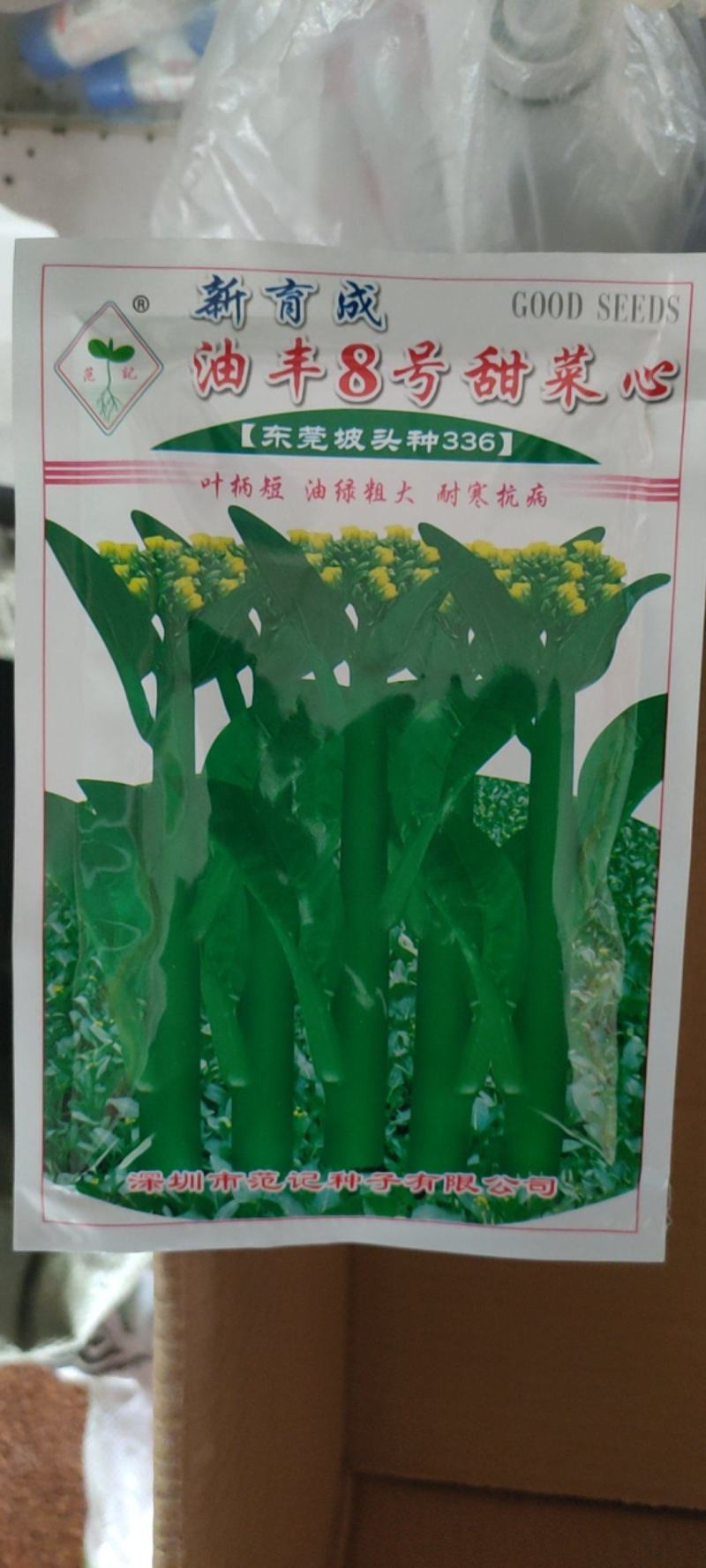 广东甜菜心种子粗菜心种子四季菜心种子甜菜苔种子