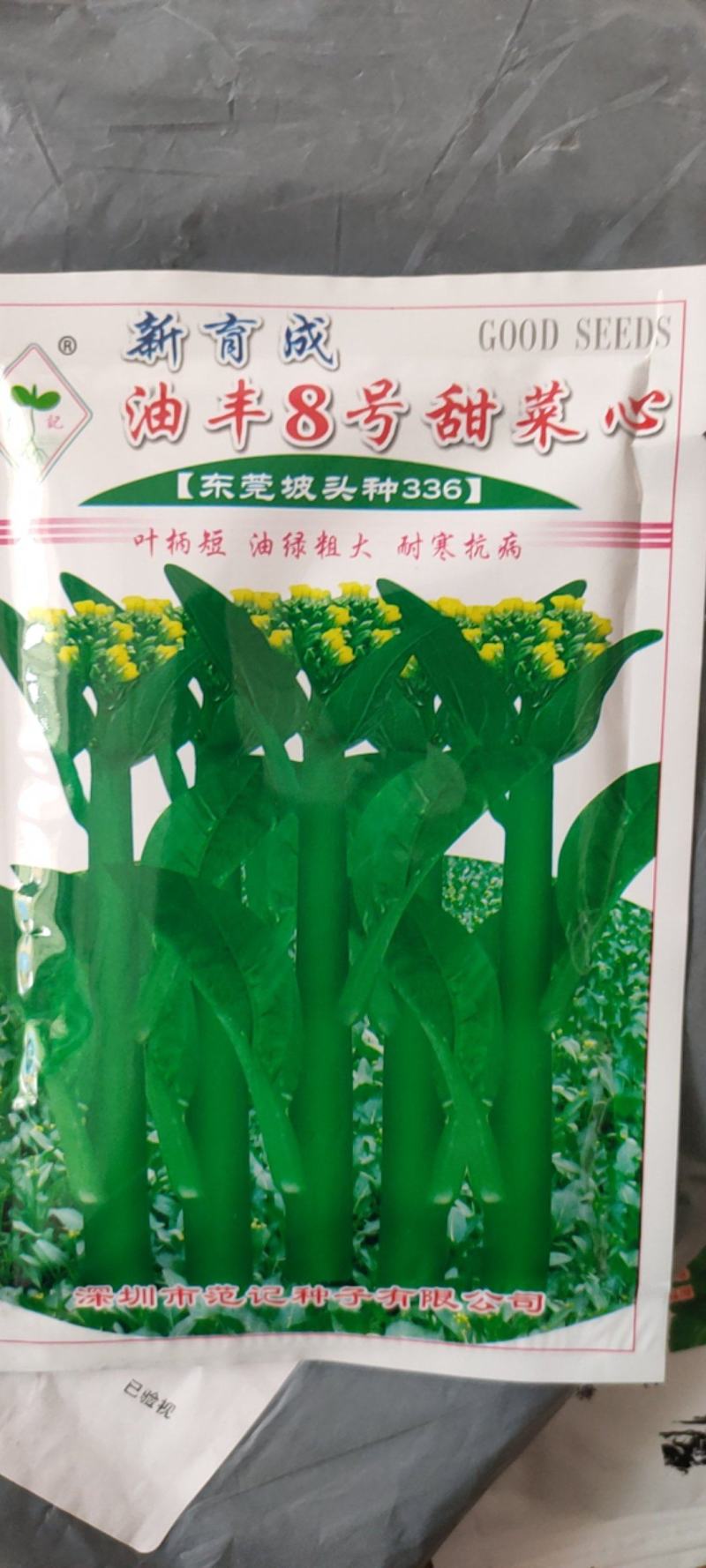 广东甜菜心种子粗菜心种子四季菜心种子甜菜苔种子