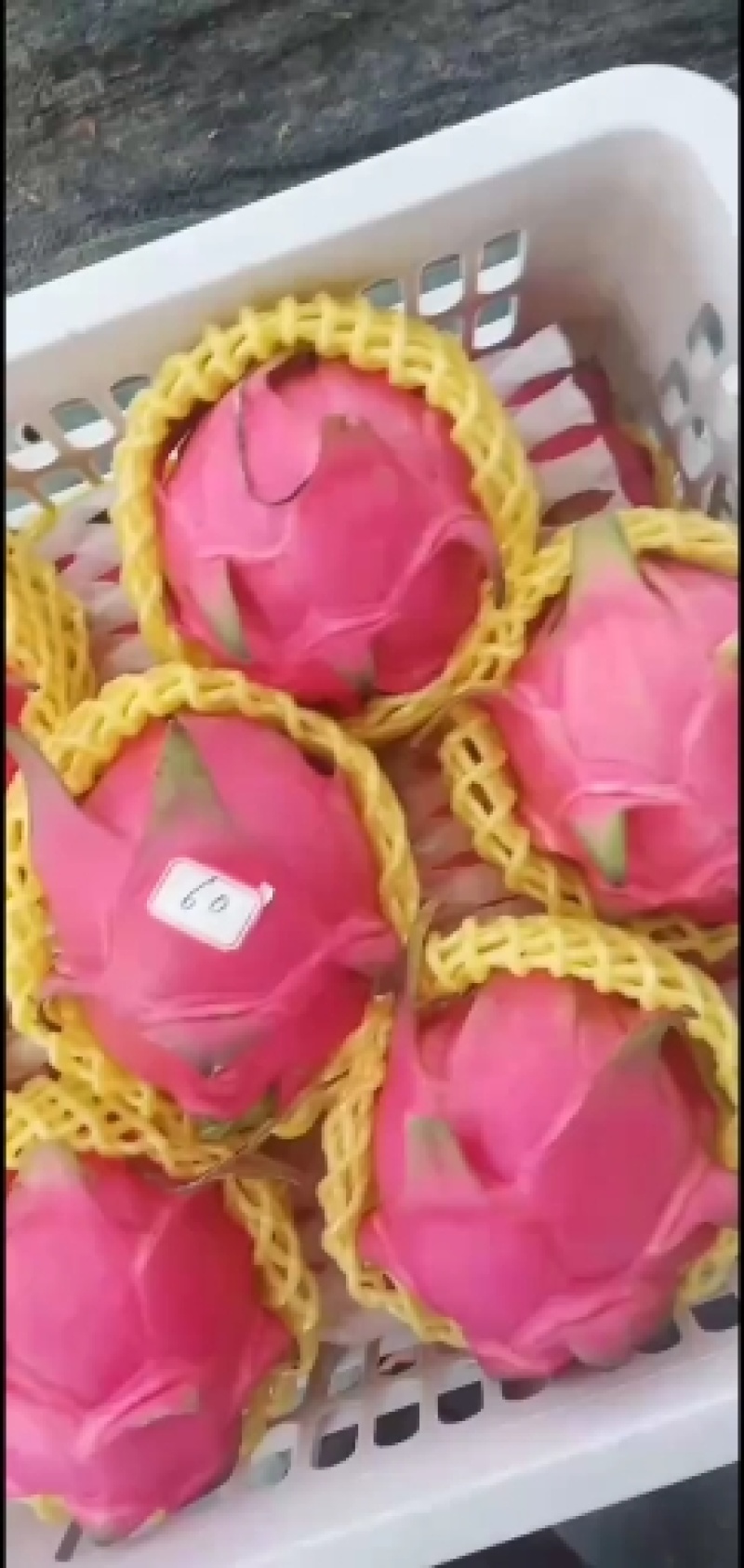 红心火龙果