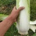 精品山地邵菜