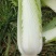 精品山地邵菜