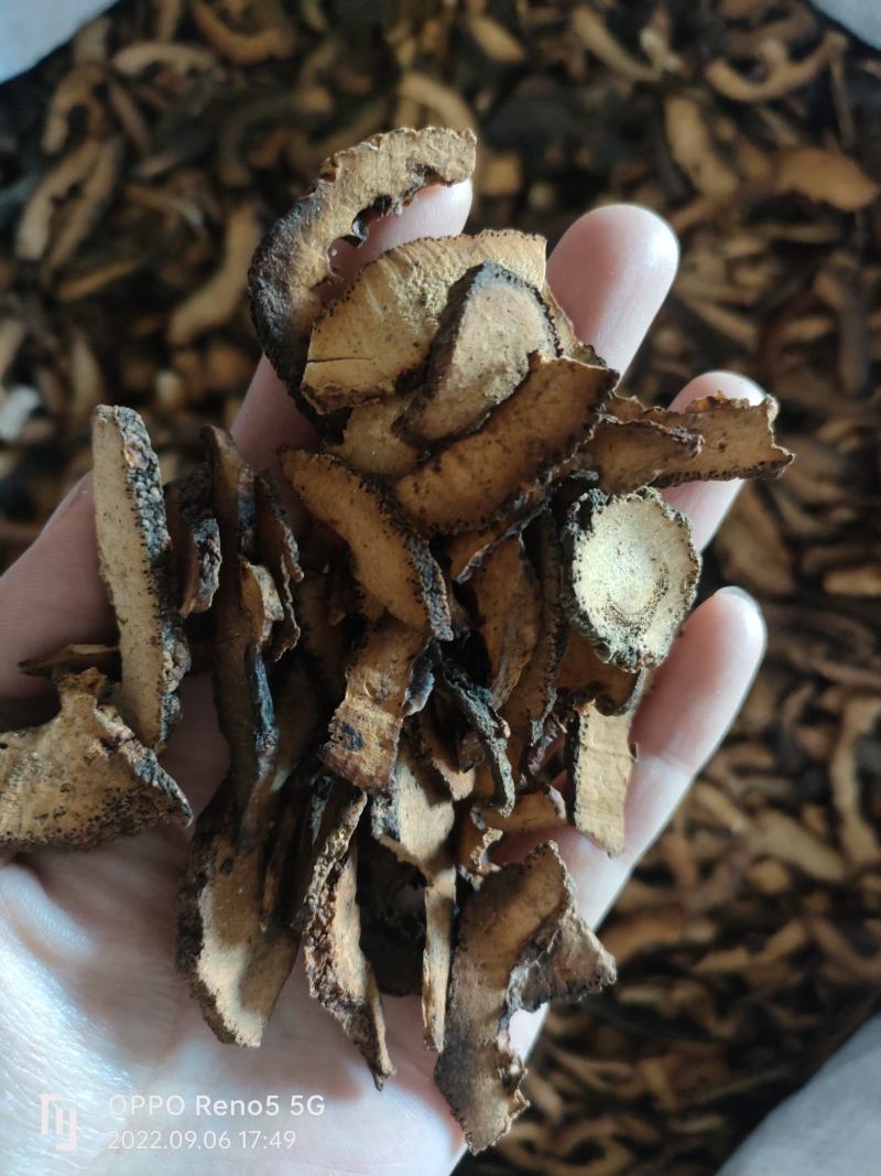（热销）枳壳产地江西今年新货量多从优祥泰药材栈欢迎选