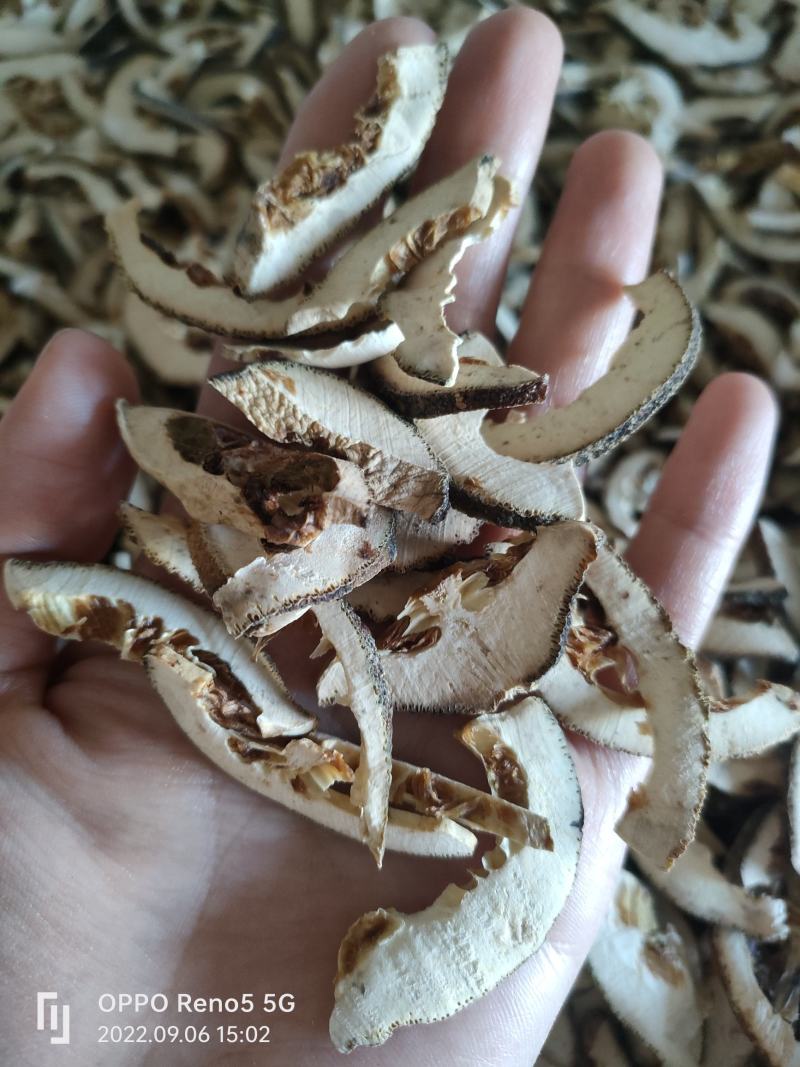 （热销）枳壳产地江西今年新货量多从优祥泰药材栈欢迎选