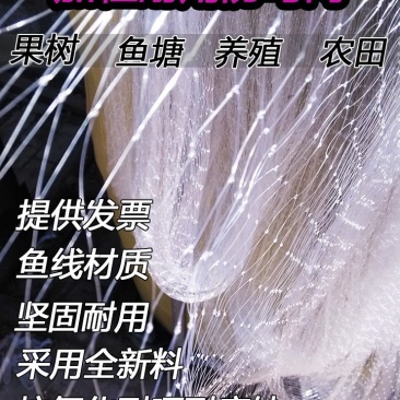 防鸟网果园防鸟网鱼塘大棚稻谷葡萄网阳台防护网