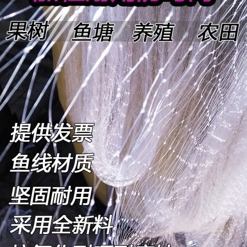 防鸟网果园防鸟网鱼塘大棚稻谷葡萄网阳台防护网
