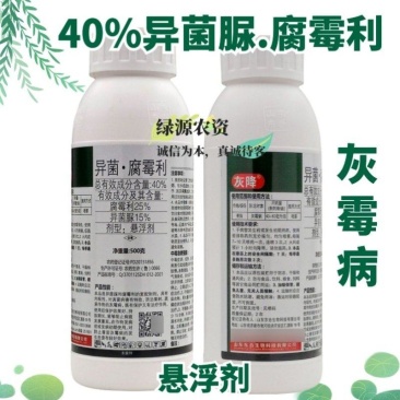 东合灰降40%异菌脲腐霉利番茄灰霉病杀菌剂灰霉病药
