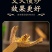 （热销）炒枳壳麸炒枳壳祥泰药材栈中药材批发零售量多从优