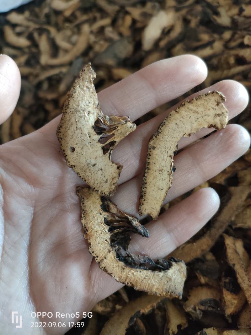 （热销）炒枳壳麸炒枳壳祥泰药材栈中药材批发零售量多从优