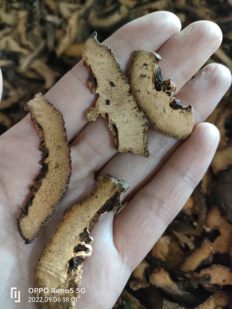 （热销）炒枳壳麸炒枳壳祥泰药材栈中药材批发零售量多从优