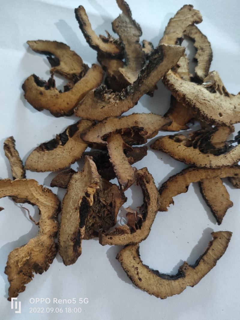 （热销）炒枳壳麸炒枳壳祥泰药材栈中药材批发零售量多从优