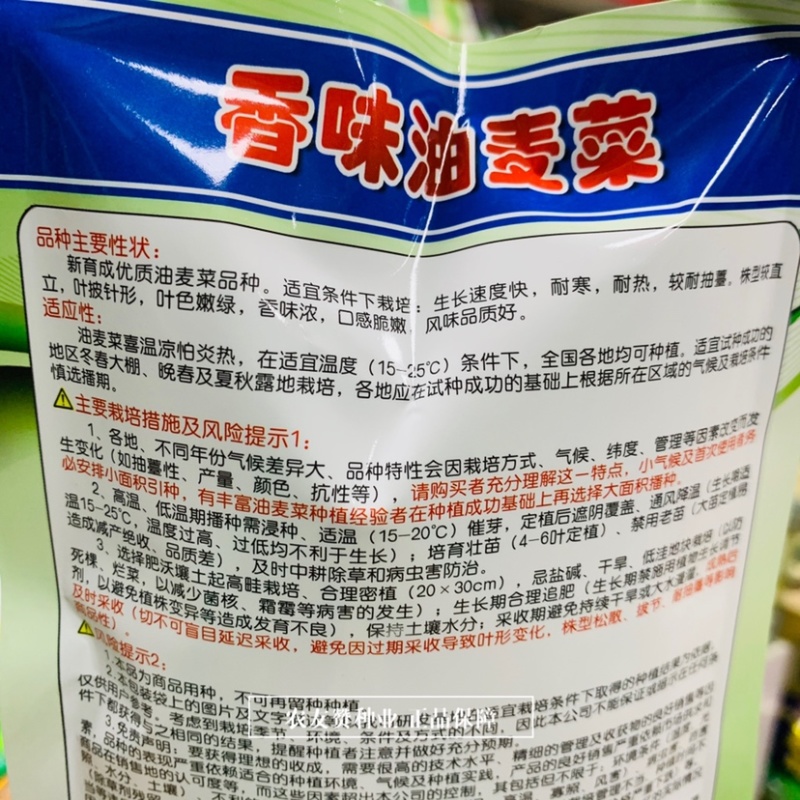 绿亨香味油麦菜种子新育成优质油麦菜品种叶披针形脆嫩清香