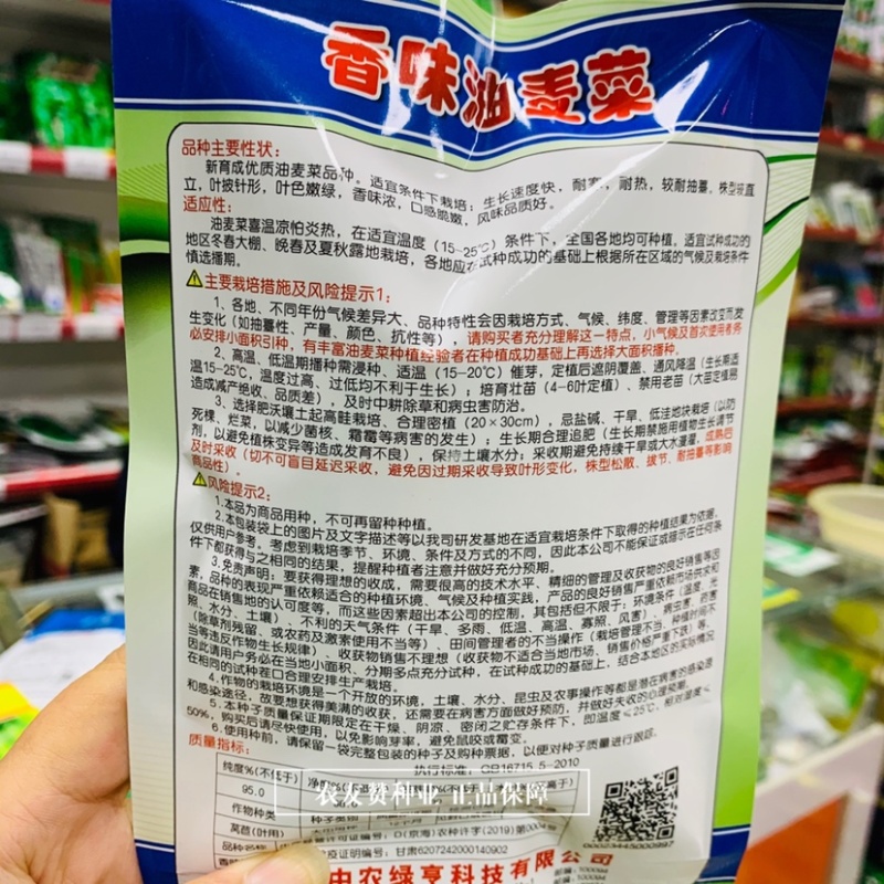 绿亨香味油麦菜种子新育成优质油麦菜品种叶披针形脆嫩清香