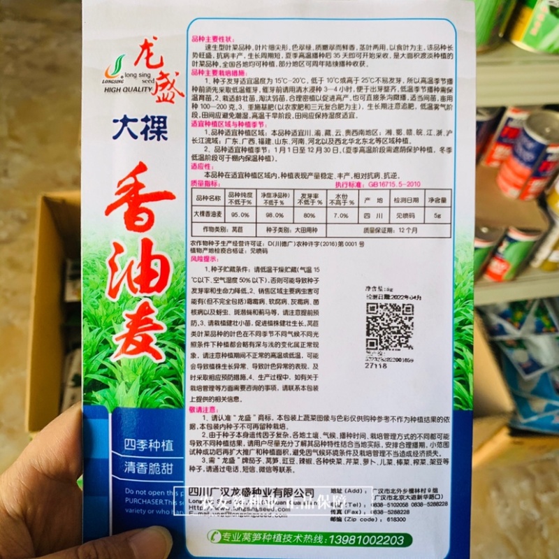 龙盛大棵香油麦菜种子速生叶菜种子叶片细尖形茎叶两用