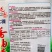 龙盛大棵香油麦菜种子速生叶菜种子叶片细尖形茎叶两用