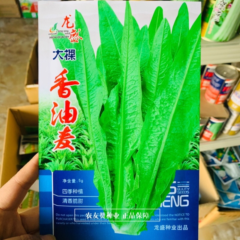 龙盛大棵香油麦菜种子速生叶菜种子叶片细尖形茎叶两用