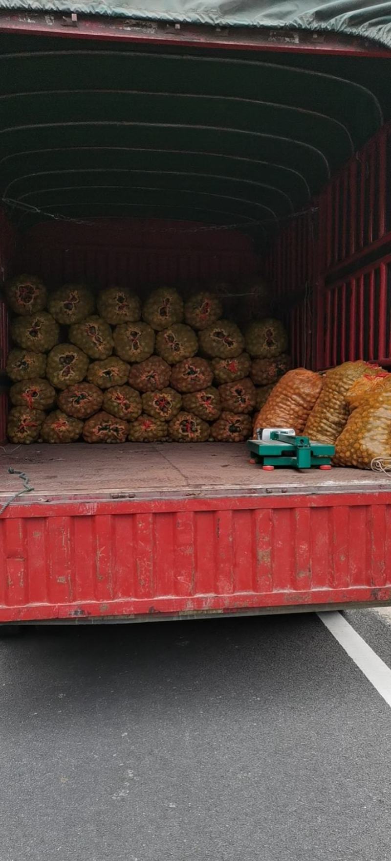 老品种核桃大量上市