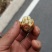 老品种核桃大量上市
