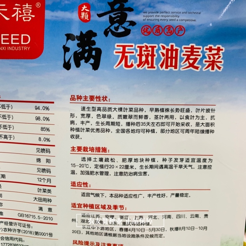 天禧满意无斑油麦菜种子优质高产耐热耐湿大棵叶菜种子