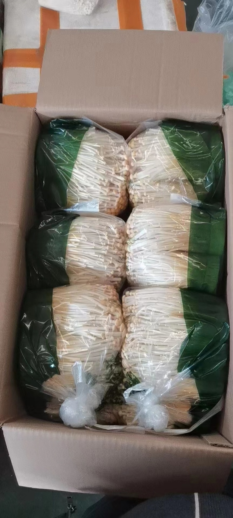 优质黄金针菌包黄金针菌棒标准工厂生产技术