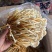 优质黄金针菌包黄金针菌棒标准工厂生产技术