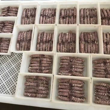 爬虾肉