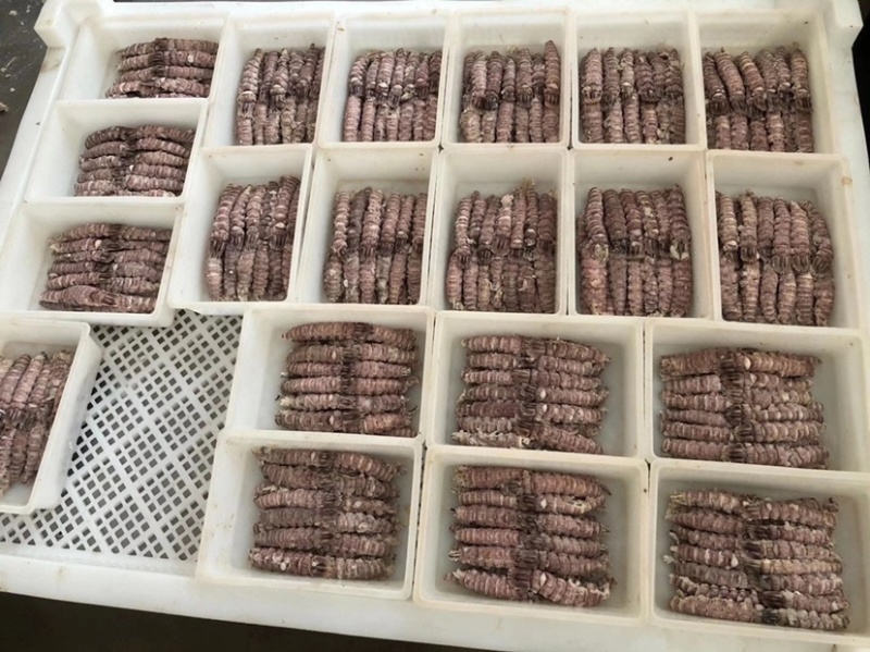 爬虾肉